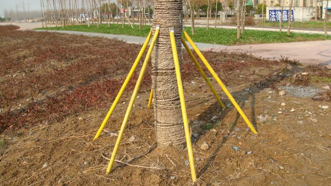 园林树木固定支架、支撑架配件